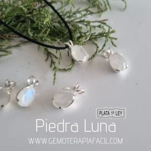 Colgante PIEDRA LUNA Facetada- plata de ley