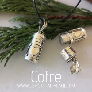 Colgante Cofre corazón plata de ley